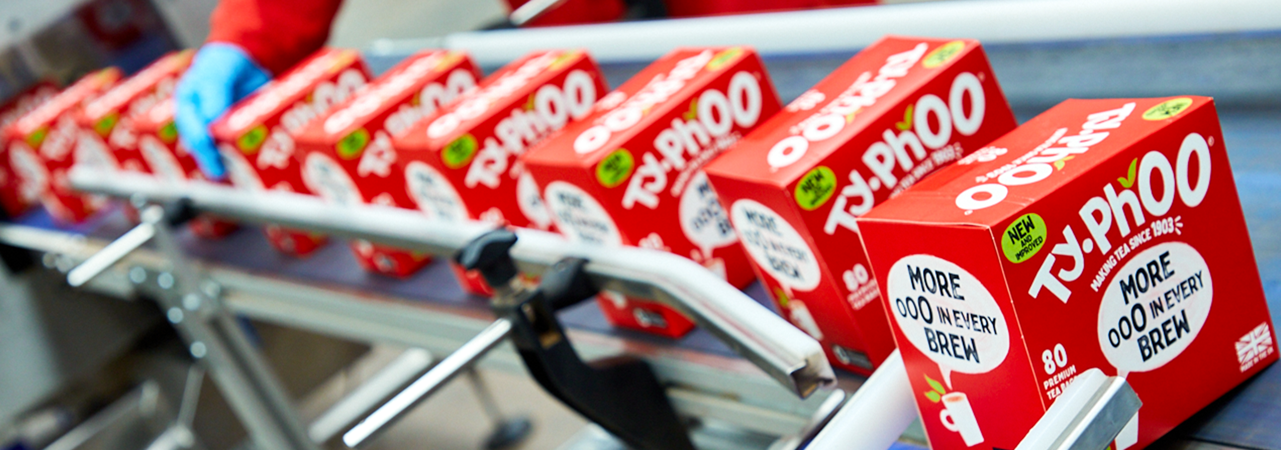 The Plant: Where the 'ooO' Starts in Typhoo