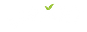Typhoo