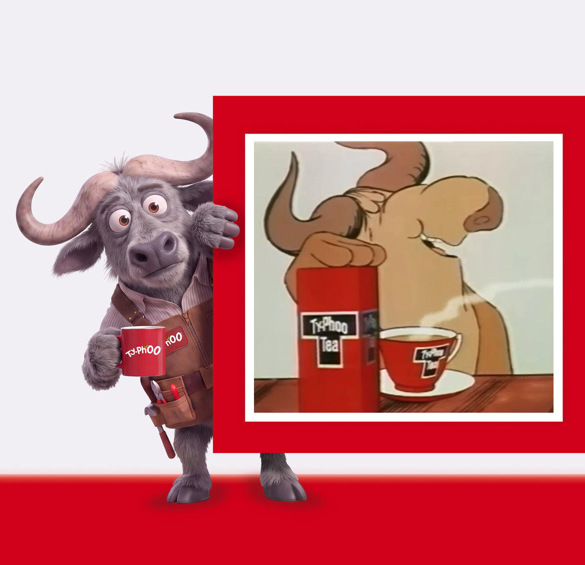 Typhoo